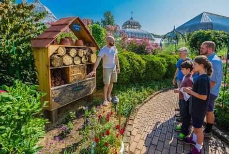 School Pollinator Garden, Salvia Garden, Garden School, Ponds For Small Gardens, Twig Dogwood, Habitat Garden, Pollinator Plants, Play Garden, Hummingbird Garden