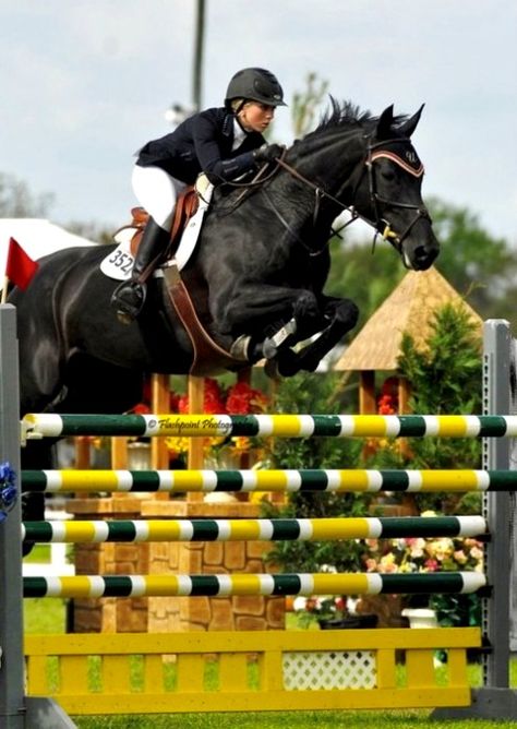 z- Horse Jumping- Woman, right (Bizi Ferguson) Winter Equestrian, Winter Equestrian Festival, Equestrian Jumping, Equestrian Dressage, Show Jumping Horses, Equestrian Aesthetic, Horse Boarding, Black Horses, English Riding