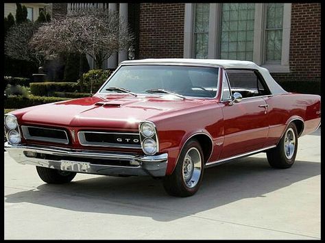 Pontiac GTO 65 Gto, 1965 Gto, Pontiac Gto Convertible, Gto Convertible, Pontiac Gto For Sale, Gto Car, 1965 Pontiac Gto, Ferrari 250 Gto, Pontiac Cars