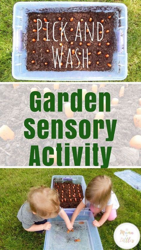 Sensory Activity For Toddlers, Garden Sensory, Toddler Garden, Activity Sensory, Activity For Toddlers, Garden Activities, Sensory Activities Toddlers, Sensory Garden, Sensory Activity