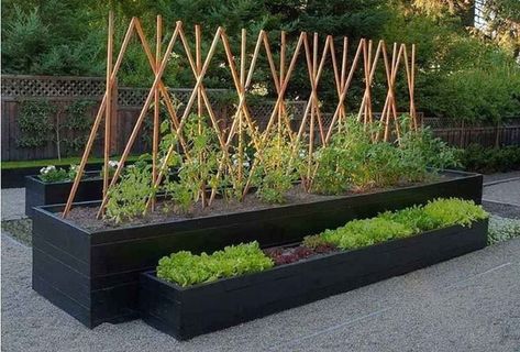 Raised Vegetable Gardens, Vertical Vegetable Garden, Backyard Vegetable Gardens, Veg Garden, Have Inspiration, Vegetable Garden Design, Raised Bed, Garden Boxes, Veggie Garden