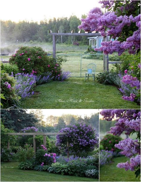 Fence Backyard, Simple Backyard, House Gardens, Purple Garden, Garden Shrubs, Front Yard Landscaping Simple, Casa Exterior, Have Inspiration, Diy Landscaping