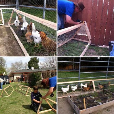 Chicken Tunnel, Chicken Tunnels, Portable Chicken Coop, Best Chicken Coop, Keeping Chickens, Building A Chicken Coop, Chicken Coop Plans, Backyard Chicken Coops, Diy Chicken Coop