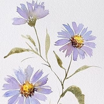 Lisa Lam 藍 | Watercolorist on Instagram: "Learn How To Paint Aster Flowers in my Skillshare Class : 7-Day Watercolor Floral Challenge 💜Join the class via the Skillshare link in my bio ." Watercolor Aster Flower, Aster Flower Illustration, Aster Watercolor Paintings, Aster Flower Painting, Aster Watercolor, Digital Watercolor Illustrations, Watercolour Wildflowers, September Flower, Simple Watercolor Flowers