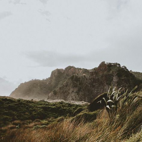 Jono Krättli  | NZ Roamer on Instagram: “The rugged landscapes of New Zealand's west coast | Karekare Beach 🇳🇿 . . . . . . . . . . . . . . #canonnz #watchthisinstagood #hboutthere…” Nz Beach, Mr Nobody, Pretty World, Mood Images, Beach Images, Social Space, Painting Subjects, Painting Inspo, Tiny Homes