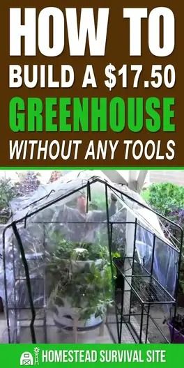 How to Build a $17.50 Greenhouse Without Any Tools Diy Mini Greenhouse Cheap, Mini Greenhouse Diy, Mini Greenhouse Ideas, Diy Greenhouse Cheap, Shed Decoration, Diy Mini Greenhouse, Diy Greenhouses, Gardening Knowledge, Gardening Greenhouse