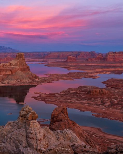 Alstom Sunset by Dustin LeFevre - Photo 146085075 - 500px Lake Powell Arizona, Lake Powell Utah, Arizona Lakes, Utah Travel, Cute Canvas Paintings, Utah Photography, Lake Powell, Lake Sunset, Utah National Parks