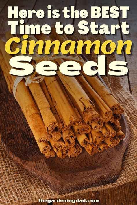 Cinnamon Garden, A Fan, To Learn, Ohio, Cinnamon, To Start, Seeds, Good Things, Fan