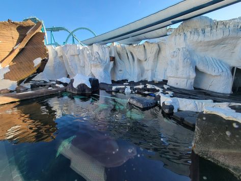 SeaWorld San Diego - Beluga pool Seaworld San Diego, Community Signs, Sea World, New Media, San Diego, North America, Pool, Media, Quick Saves