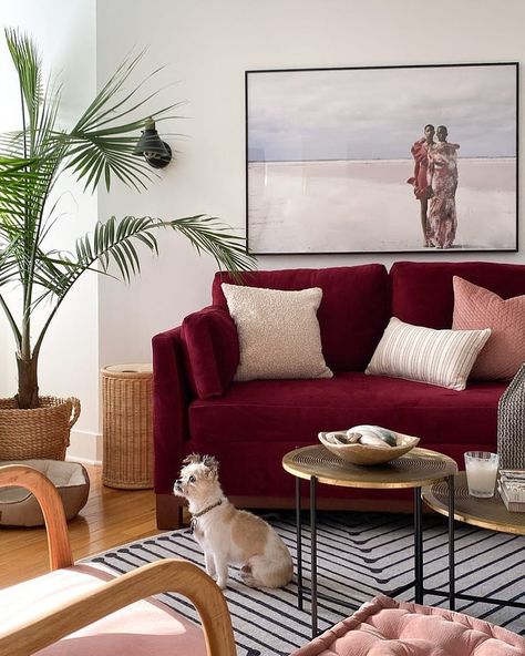 Red Accent Interior, Maroon Couch Living Room, Red Sofa Living Room, Red Couch Living Room, Cozy Living Room Design, Living Hall, Red Couch, Living Room Red, Red Sofa