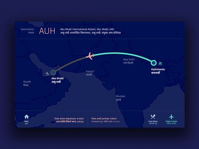 Inflight Flight Tracker Flight Map, Abu Dhabi International Airport, Flight Tracker, Airplane Flight, Travel Infographic, Information Graphics, Online Surveys, Illustrated Map, Interactive Map