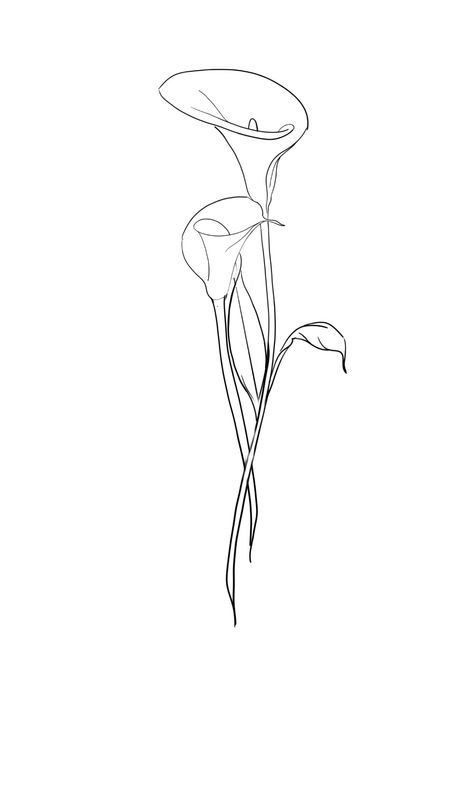 Calla Lily Fine Line Tattoo, Calla Lily Line Drawing, Calla Lily Line Art, Small Lily Tattoos For Women, Calla Flower Tattoo, Cala Lillies Tattoo, Calla Lilies Tattoo, Lily Fine Line Tattoo, Calla Lily Drawing