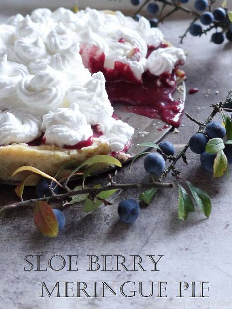 Sloe Berry Meringue Pie – Wild Foraging Sloe Recipes Food, Sloe Berry Recipes, Sloe Berries Recipes, Berry Custard, Berry Meringue, Pear Pizza, Pie Crust Top, Sloe Berries, Baking Recipes Pie