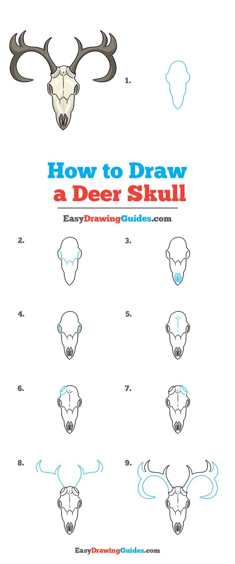 How To Draw Deer Skull, How To Draw A Bull Skull, Deer Head Drawing Easy, How To Draw A Cow Skull, How To Draw Animal Skulls, Deer Skull Drawing Simple, Moose Skull Drawing, How To Draw Antlers, Skull Drawing Tutorial Step By Step