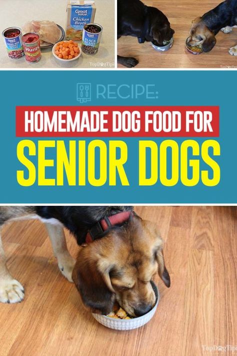 Dog Food For Senior Dogs, Food For Senior Dogs, Senior Dog Food, Pallet Deck Diy, Senior Dog Care, Dog Food Homemade, Senior Dog Food Recipes, Pallet Deck, Deck Diy