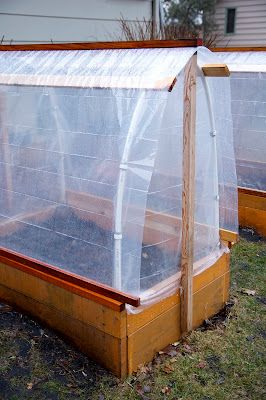 Diy Small Greenhouse Cheap, Diy Small Greenhouse, Porch Greenhouse, Growing Tomatoes Indoors, Cheap Greenhouse, Diy Greenhouse Plans, Best Greenhouse, Green House Design, Outdoor Greenhouse