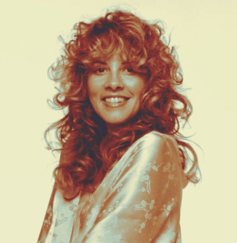 Stevie Nicks Photos, Stevie Nicks Profile Picture, Stevie Nicks Shag Haircut, Rock And Roll Haircut, 70s Rockstar Haircut Women, Stevie Nicks Pfp, 70s Rockstar Hair, Stevie Nicks Pictures, 70s Haircuts