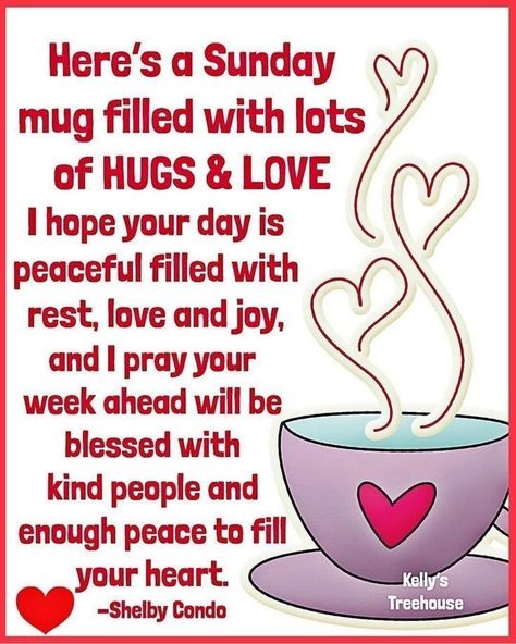 Sunday Hugs, Happy Sunday Messages, Good Morning Happy Weekend, Happy Sunday Images, Sunday Messages, Good Morning Hug, Sunday Morning Quotes, Love Good Morning Quotes, Happy Wednesday Quotes