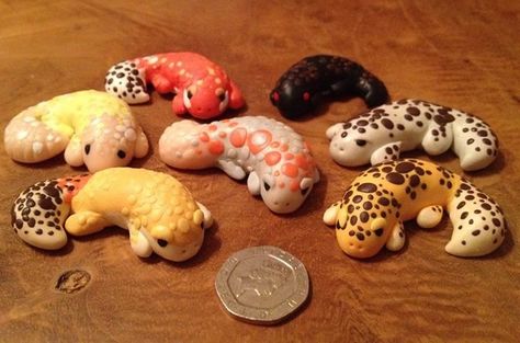 Leopard gecko mystery bags! Each little leopard gecko is completely unique and comes with their own adoption card. Adopt a leo today! https://www.etsy.com/uk/listing/551305369/polymer-clay-leopard-gecko-mystery-bag?ref=shop_home_active_1 Polymer Clay Gecko, Polymer Clay Reptiles, Clay Reptiles, Polymer Clay Lizard, Clay Gecko, Polymer Clay Creatures, Clay Snakes, Polymer Clay Snake, Clay Snake