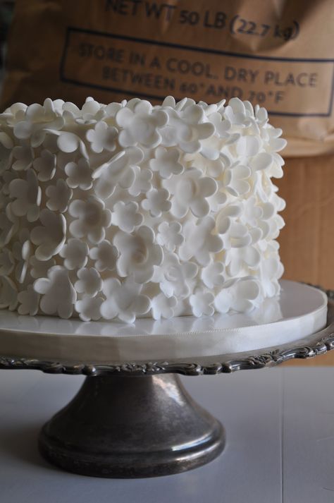 Sweet & simple, single tier wedding cake with edible white flowers Small Minimal Wedding Cake, Flat Wedding Cake, Single Teir Cakes Wedding, Simple One Tier Wedding Cake, Simple Wedding Cake Small One Tier, Wedding Cake Single Tier, Single Tier Wedding Cakes, One Tier Wedding Cake, 1 Tier Wedding Cakes