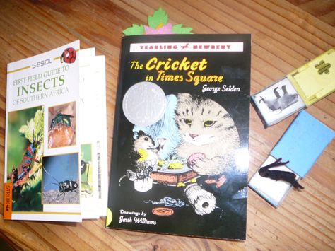 Cricket in Times Square - craft Cricket In Times Square, Water Science Experiments, Book Club Activities, Novel Study Activities, Kid Book, School Elementary, Kids Book Club, Insect Crafts, Teaching Literature