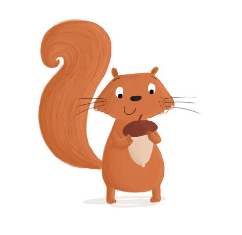 Today I'm drawing squirrels! Squirrel Pics, M Drawing, Squirrel Illustration, Squirrel Art, Hampshire Uk, Cute Squirrel, Adobe Portfolio, Childrens Illustrations, Children's Book Illustration