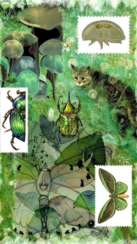 #green #bugs #beetle #insects #butterfly #cat #weird #dreamcore #surrealusm #moodboard Bug Art Wallpaper, Green Beetle Aesthetic, Beetle Wallpaper Insects, Bugs Wallpaper Insects, Bug Core Aesthetic, Entomology Aesthetic Wallpaper, Bugcore Wallpaper, The Bug Collector Aesthetic, Bug Phone Wallpaper