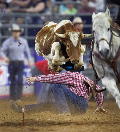 Steer Wrestling, Dale Brisby, Team Roper, Bucking Bulls, Reining Horses, Black Cowboys, Black Cowgirl, Rodeo Life, Cowboy Up