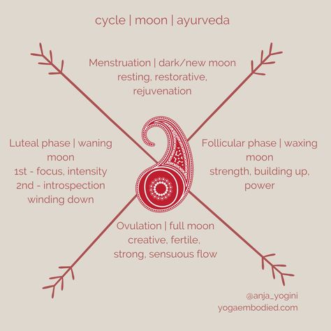 Menstrual Cycle Spiritual, Full Moon And Menstrual Cycle, Moon Time Menstrual Cycle, Menstruation And Moon Cycle, Red Moon Cycle Period, Menstruation Cycle, Healing Workshop, Ayurvedic Practitioner, Womb Healing