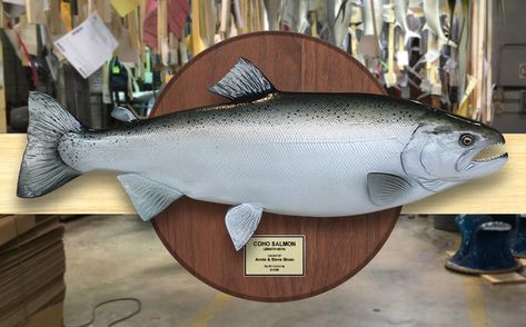 Silver/Coho Salmon trophy on wood plaque Coho Salmon, Fish Mounts, Custom Trophies, Salmon Fish, Fish Fish, All Fish, Central California, Wood Plaques, Metallic Blue