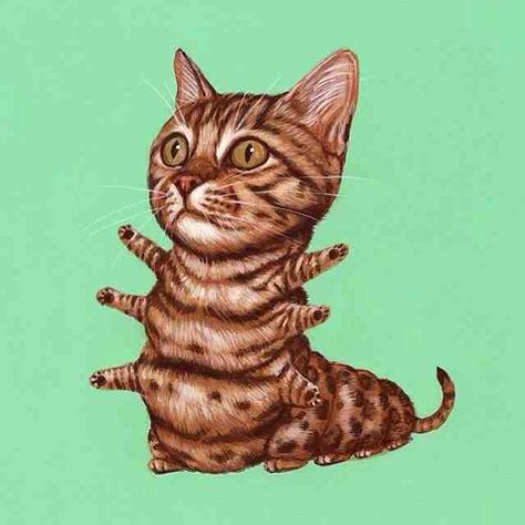 Weird Cat Art (@weirdcatart) | Twitter Weird Cat Art, Trippy Cat, Surealism Art, Cat Attack, Cat People, Pop Surrealism, Cat Decor, Hippie Art, Cat Painting