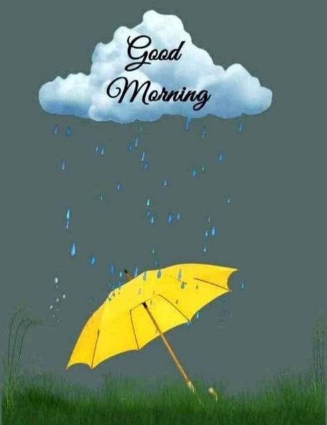 Good Morning Rain, Rainy Good Morning, Good Morning Rainy Day, Good Morning Quotes In Hindi, Morning Quotes In Hindi, Good Morning Status, Gd Mrng, Morning Status, Good Morning Beautiful Gif