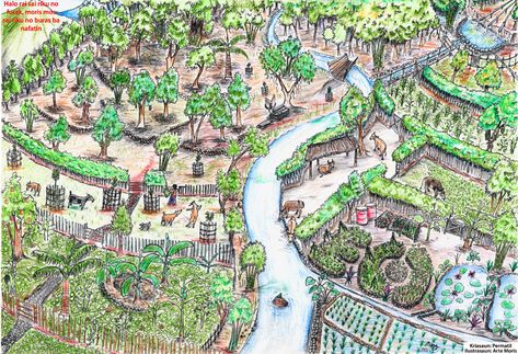 Tropical Permaculture, Bill Mollison, Food Forest Garden, Permaculture Principles, Permaculture Gardening, Permaculture Design, Garden Design Plans, Food Forest, Forest Garden