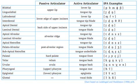 Place Of Articulation Place Of Articulation, Lower Lip, Ipa, Siding, Lips