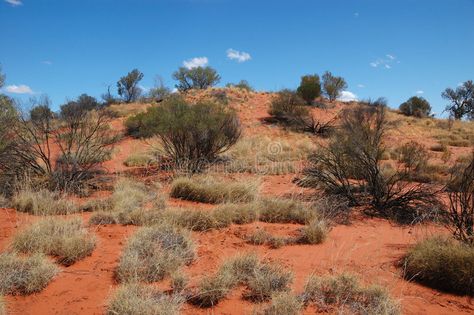 Simpson desert, australia outb. Simson desert is a very dry place in australia, , #Ad, #Simson, #dry, #place, #outb, #Simpson #ad Desert Vegetation, Australian Desert, Cattle Drive, Desert Animals, Australian Outback, Biome, Northern Territory, The Dunes, All About Plants