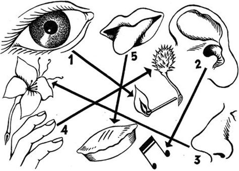 Senses of place: architectural design for the multisensory mind | Cognitive Research: Principles and Implications | Full Text Human Senses, Cognitive Neuroscience, Environmental Psychology, Applied Psychology, Eye Sight, Psychological Science, Sports Stadium, Architectural Practice, Concept Development