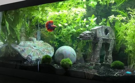 Creating The Perfect Star Wars Fish Tank | Total Fish Tank Star Wars Aquarium, Fish Tank Fresh Water, Beta Tank, Cool Fish Tank Decorations, Jellyfish Tank, Fish Tank Themes, Cool Fish Tanks, Betta Aquarium, Fish Tank Design