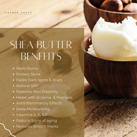 Benefits of Shea Butter! Shea Butter is used in our butters & scrubs, get yours today at www.lathergreen.com #coconutoil #sheabutter #allnatural #naturalproducts #nontoxicbeauty #naturalcosmetics #softskin #bodyoil #avocadooil #mangobutter #whippedsheabutter #sheabodybutter #oilcoconut #mangobodybutter #buttershea #oilavocado #avocadoseedoil #coconutoilbenefits #organiccoconutoil #africansheabutter #sheabutterbenefits #unrefinedsheabutter #coconutoils #sheabuttersoap #vitamineoil Shea Butter Photography Ideas, Shea Butter Business, Benefits Of Shea Butter For Skin, Raw Shea Butter Benefits, Benefits Of Shea Butter, Shea Butter Face, Raw African Shea Butter, Shea Butter Benefits, Shea Butter Cream