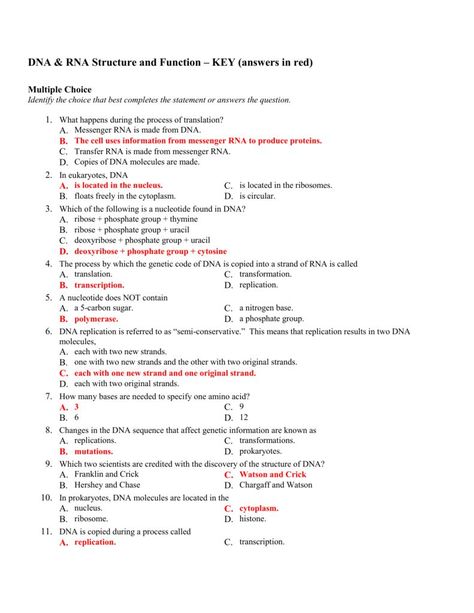 Dna And Rna Notes, Dna Rna Notes, Dna Structure Notes, Dna And Rna Structure, Dna To Rna, Rna Structure, Genetics Worksheet, Dna Worksheet, Dna And Rna