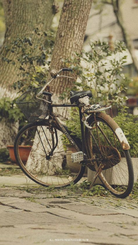 Aesthetic Bicycle Pictures, Bicycle Aesthetic Vintage, Vintage Bike Aesthetic, Aesthetic Bike Ride, Old Fashioned Bike, Cozy Witch, Bicycle Aesthetic, Old Fashioned Bicycle, Aesthetic Bike