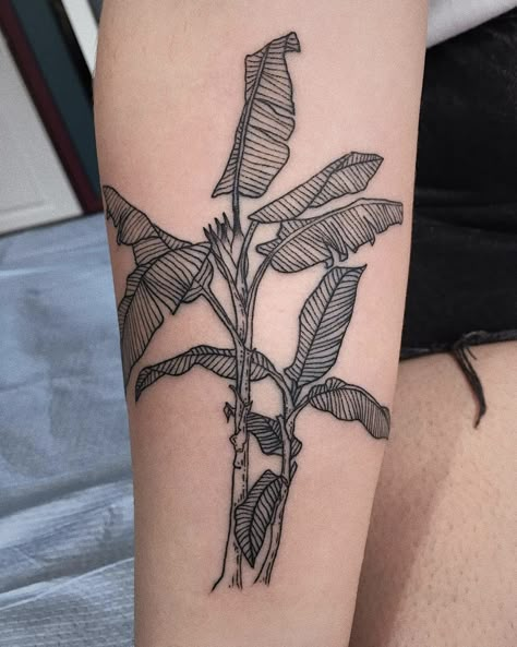 Plantain Tattoo, Banana Plant Tattoo, Banana Leaves Tattoo, Banana Tree Tattoo, Banana Leaf Tattoo, Beatles Inspired Tattoos, Tree Leg Tattoo, Tattoo Future, Shin Tattoo