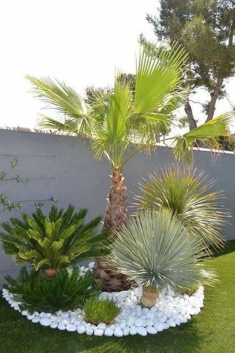 White Gravel Landscaping, Gravel Landscaping Ideas, Garden Landscaping Design Ideas, White Gravel, Gravel Landscaping, Florida Landscaping, Modern Front Yard, Front Garden Landscape, Home Garden Design