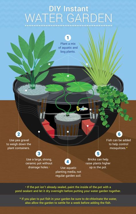 Patio Ponds, Container Pond, Ponds For Small Gardens, Tanaman Air, Mini Pond, Container Water Gardens, Kolam Koi, Patio Pond, Bog Plants