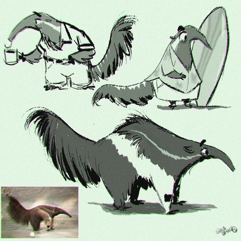 Here are some anteaters blame @blythe_russo :D Anteater Art, Ant Eater, Giant Anteater, Character Design Animals, Animal Character Design, Wolverine Art, Anthropomorphic Animals, Animation Art Sketches, Animal Character