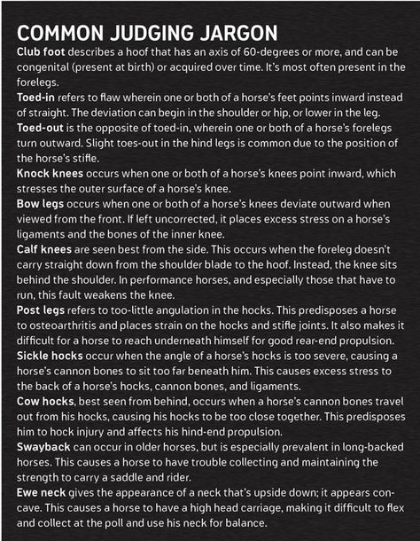 Get the ins and outs of conformation from a horse-judging expert, so you can learn to ‘see’ a horse like a pro and master judging jargon once and for all. Ffa Horse Judging, Livestock Judging Tips, Cattle Judging, Horse Confirmation, Horse Judging, Show Lambs, Show Sheep, Livestock Judging, Horse Conformation