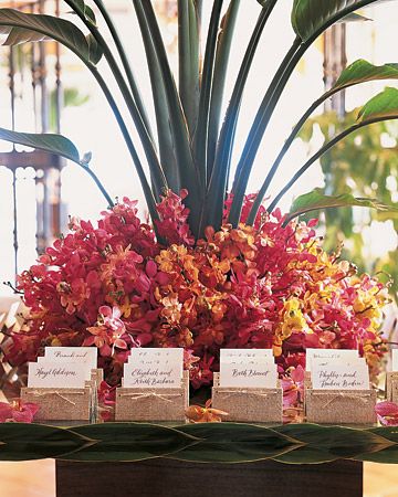 Escort Card Display Wedding In Puerto Rico, Bohemian Weddings, Destination Ideas, Card Table, Card Display, Ceremony Programs, Printed Napkins, Martha Stewart Weddings, Seasonal Celebration