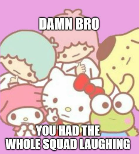 Cute Sanrio Pictures, You Got The Whole Squad Laughing, Damn Bro I Almost Gave A F, Got The Whole Squad Laughing, Sanrio Reaction, Whole Squad Laughing, Funny Sanrio, Sanrio Meme, Sanrio Memes