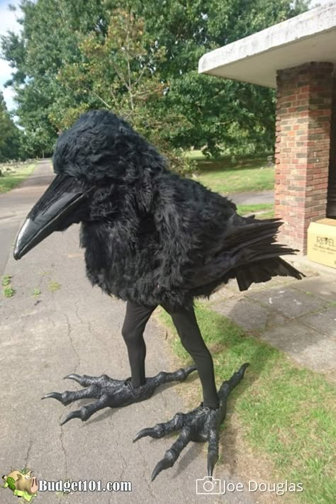 human crow costume budget101 Scarecrow And Crow Costume, Scary Bird Costume, Halloween Crow Costume, Blackbird Costume, Black Crow Costume Women, Black Crow Costume, Womens Crow Costume, Crow Human Hybrid, Crow Core Fashion