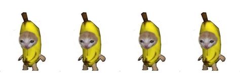 banana cat header Banana Banner Discord, Banana Cat Wallpaper, Cat Headers, Happy Banana Cat, Cat Header, Fb Header, Cat Banner, Banana Cat, Tiger 800