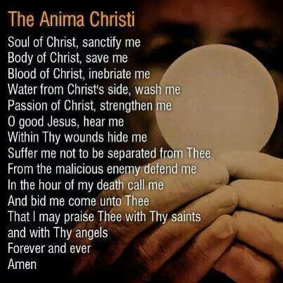 The body of Christ!! Anima Christi, Catholic Communion, Communion Prayer, My Lord And My God, Holy Eucharist, Eucharistic Adoration, Blessed Sacrament, Holy Holy, The Eucharist